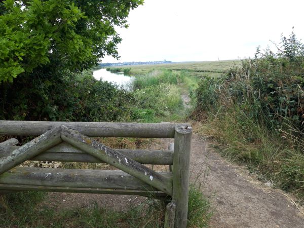 empty path by lake