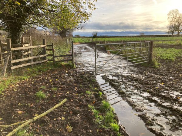 Problems on public paths