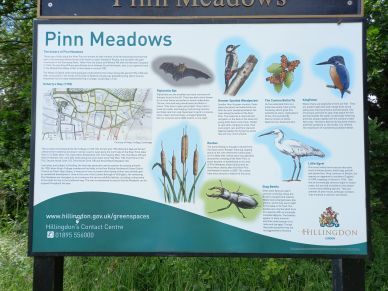 Pinn Meadows