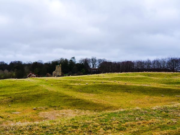 Near Waddesdon in Winter