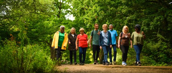 A group of walkers on a path with overhanging trees either side.