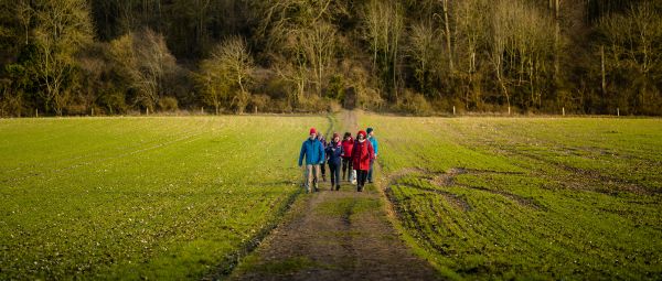 A group of people walking a wide dirt path between planted crops