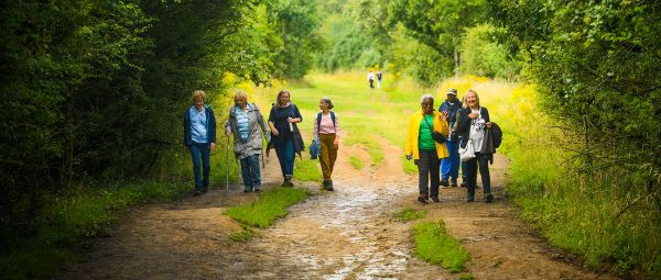 A group of people walking together down a path between trees