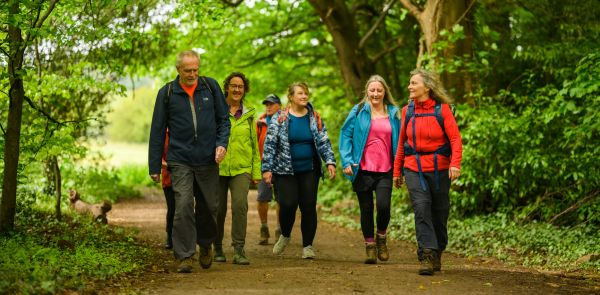 A group of people walking along a path among trees