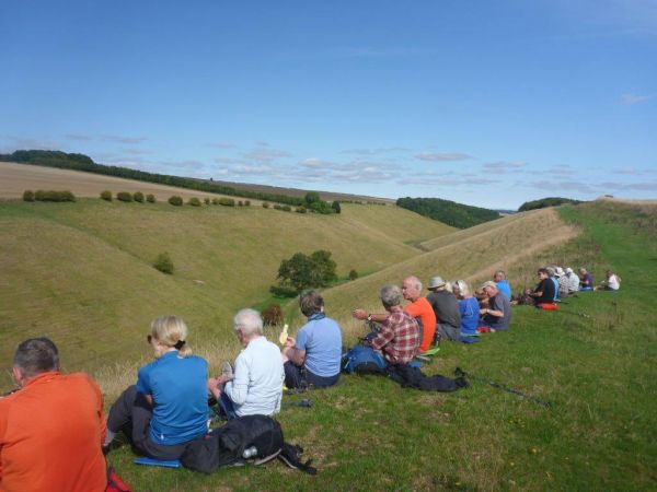 Lunch in Horse Dale