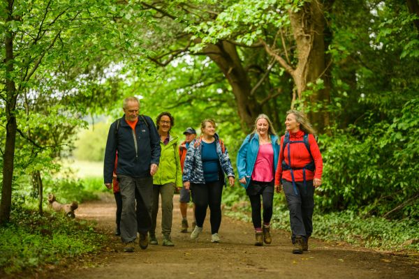 Group walking in countryside