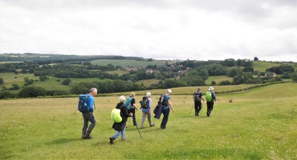 walkers going across a green field