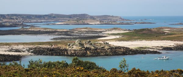 The island of St Martin's in the Isles of Scilly. Turquoise sea intersperses sandy outcrops, with gorse and heather in the foreground