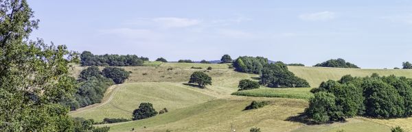 surrey hills walking