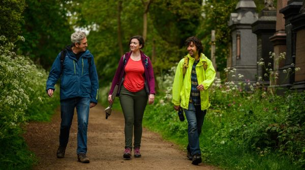 A group walking on a wide, treelined path.