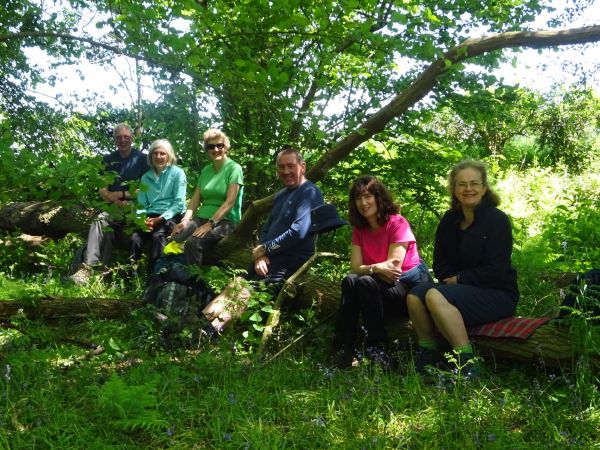 walkers taking a break under a tree