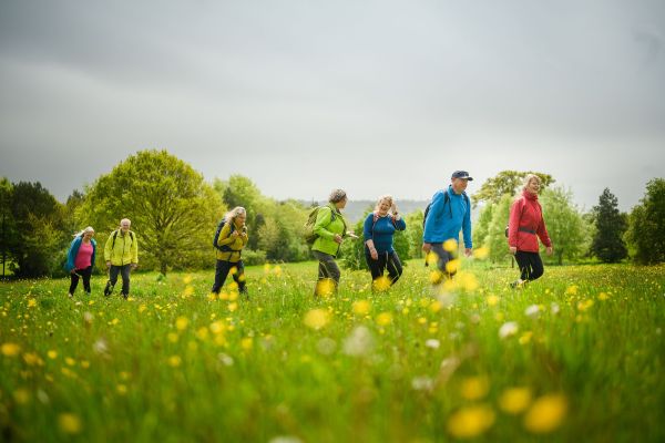 group walking in field 