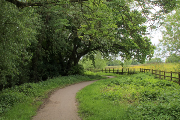 Cyclepath (© Chris Heaton)