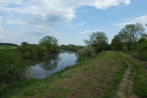 Riverside path (© DS Pugh)