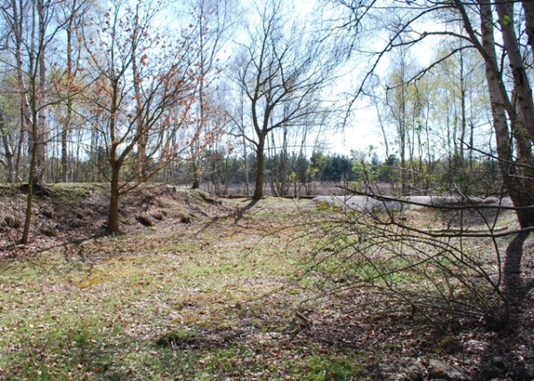 Skipwith Common