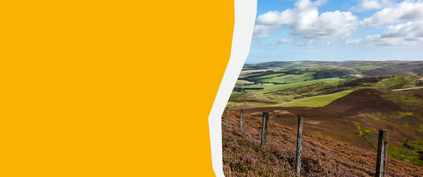 rolling hills in scottish countryside