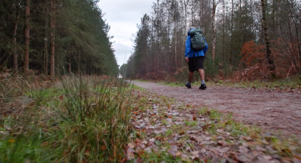 thetford forest haroon mota walking